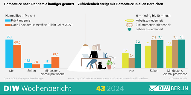 Bild:  DIW Berlin Grafik