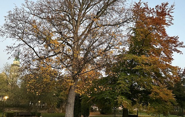 Bild: Weiterhin ruhiges, freundliches Herbstwetter