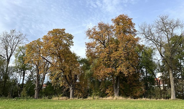Bild: Weiterhin beherrscht ruhiges Herbstwetter die Lage