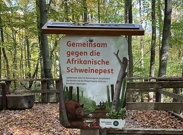 Bild: Gemeinsam gegen die Afrikanische Schweinepest