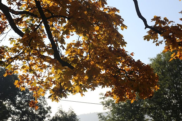 Bild: Wetterbild