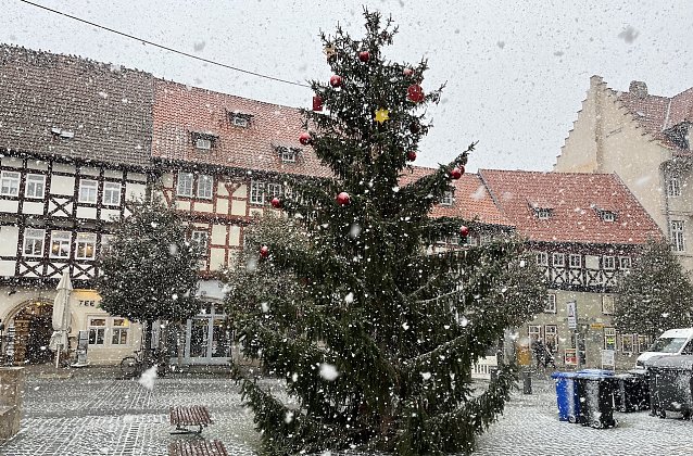 Bild: Weihnachtsbaum im Schneegest&ouml;ber vor der Marktkirche