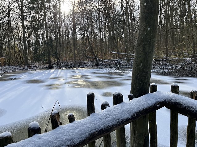 Bild: Das kurze Winter-Intermezzo (hier im Nationalpark Hainich) ist erst einmal vorbei