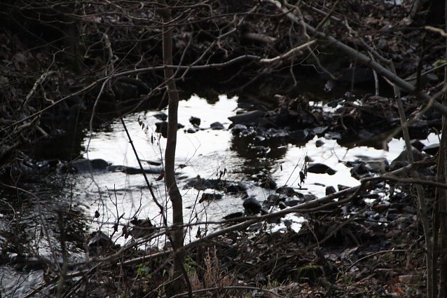 Bild: Wetterbild