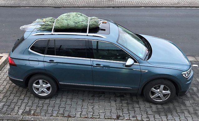 Bild: 	 Beim Transport auf dem Dach sollte das Stammende des Weihnachtsbaums immer nach vorne zeigen.
