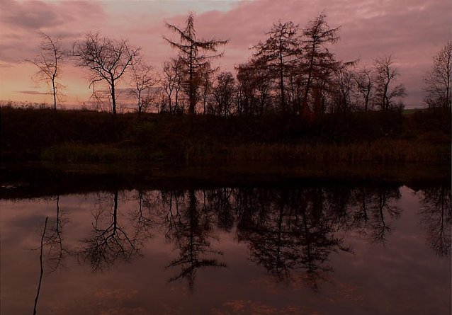 Bild: Sonnenuntergang am Nordh&auml;user Tierheim/ D&ouml;bels-Teich