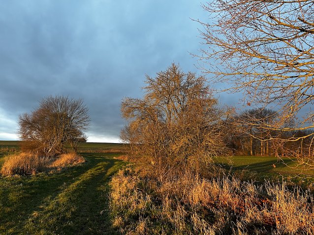 Bild: Morgentlicher Anblick in Nordhausen OT Leimbach