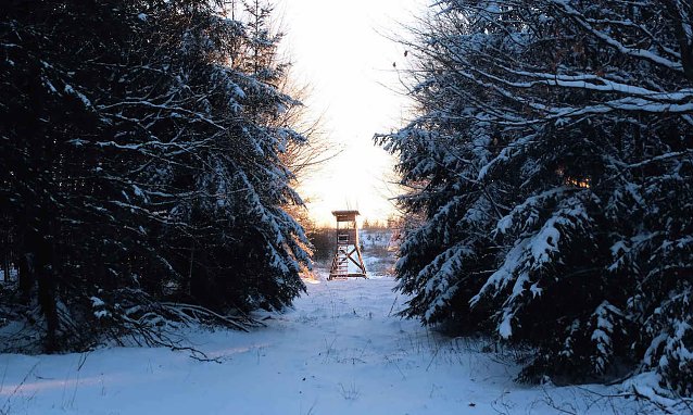 Bild: Ausflug in den verschneiten Harz