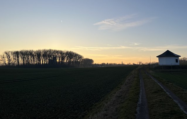 Bild: Winterstimmung am Badew&auml;ldchen Bad Langensalza