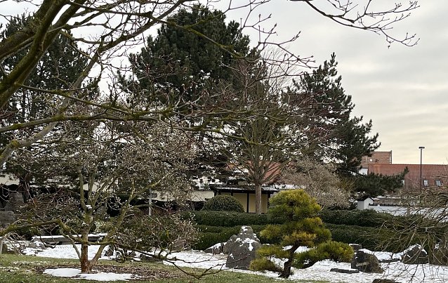 Bild: Warten nah den Fr&uuml;hling: Japanischer Garten Bad Langensalza 