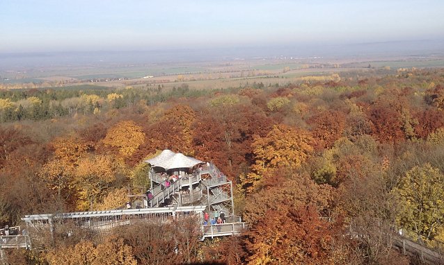 Bild: Beliebtes touristisches Ziel: Baumkronenpfad im Hainich