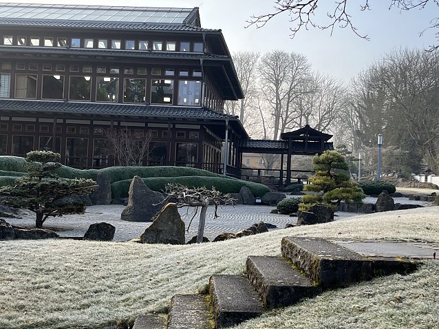 Bild: Rauhreif am Morgen auch weiterhin im Japanischen Garten in Bad Langensalza 