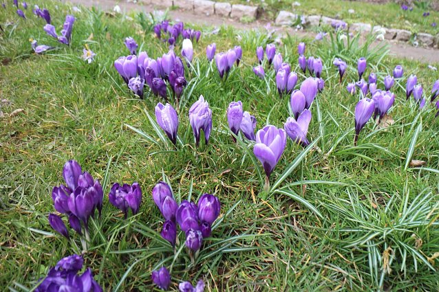 Bild: Wetterbild