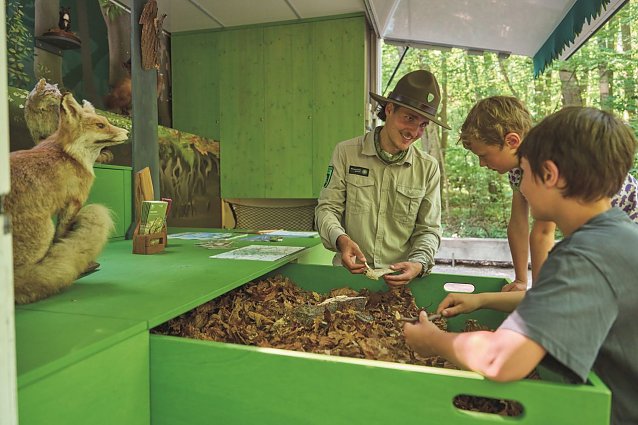 Bild: Ranger Tag im Nationalpark Hainich