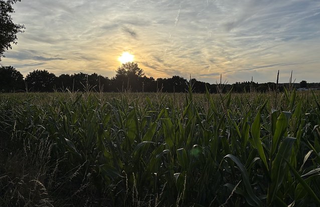 Bild: Die n&auml;chsten Tage werden regnerisch