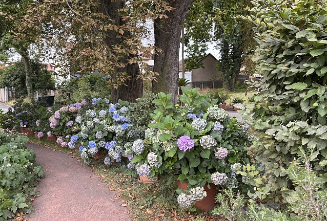 Bild: Weiter sch&ouml;nes Sommerwetter in Th&uuml;ringen