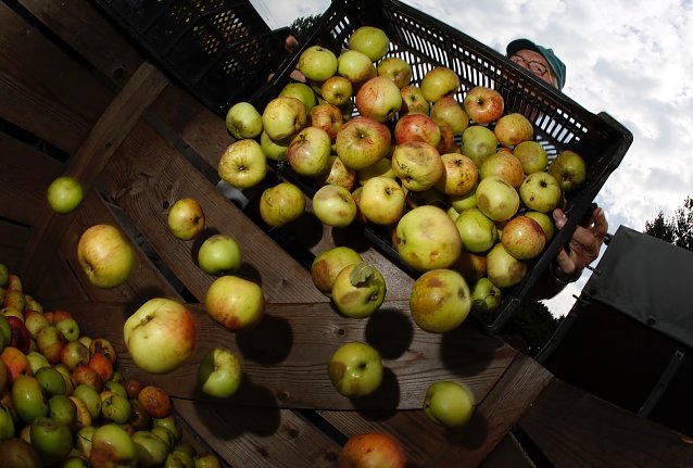 Bild: Eigener Saft aus dem Obst