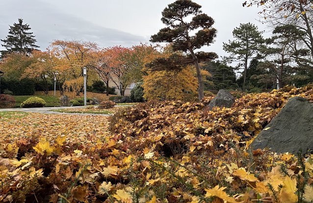 Bild: Ab morgen wieder st&uuml;rmisches Herbstwetter