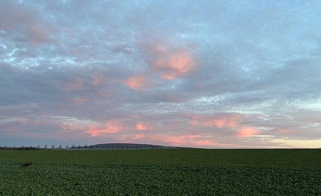 Bild: Weiterhin ruhiges Herbstwetter