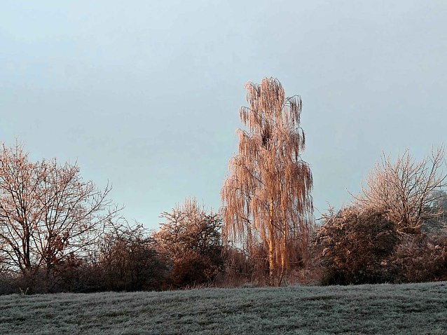 Bild: Weiter Frost und Gl&auml;tte
