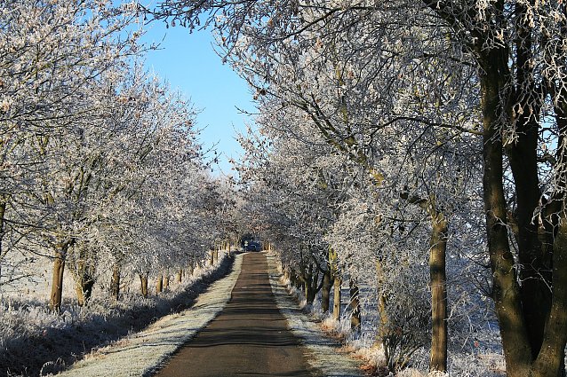 Bild: Winterlandschaft bei Kelbra