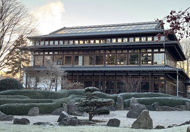 Bild: Winterstimmung bei -7 Grad im Japanischen Garten Bad Langensalza