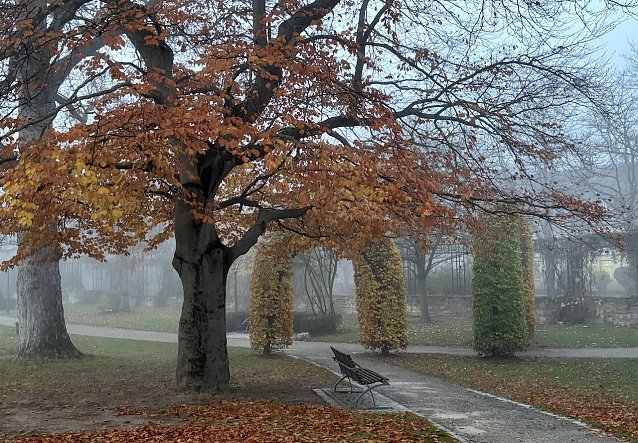 Bild: Frost und Gl&auml;tte in den Morgenstunden