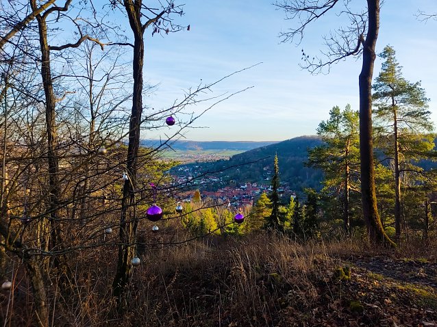 Bild: Blick von der L&ouml;wenburg auf Bleicherode