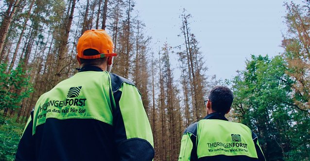 Bild: Foto eines Rundgangs durch den S&uuml;dharzer Wald mit dem Forstamt Bleicherode