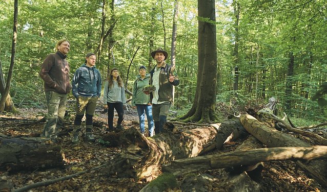 Bild: Gruppe im Wald