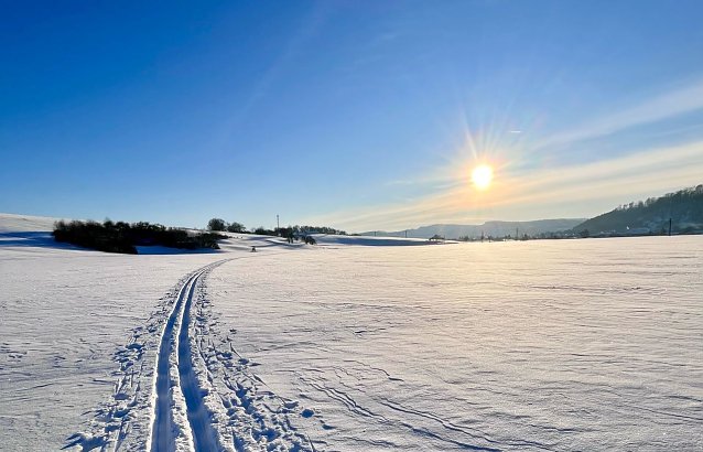 Bild: 