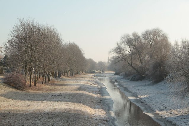 Bild: Eine vereiste Flussaue bei Nordhausen