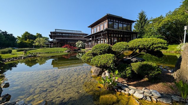 Bild: Japanischer Garten mit Pflanzen und Koiteich