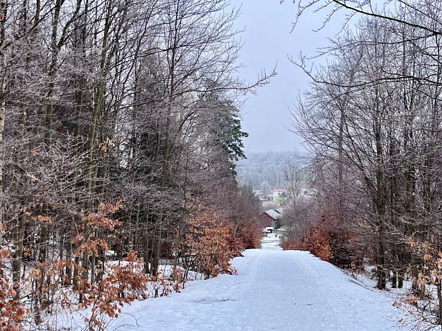 Bild: 