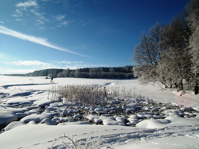 Bild: 