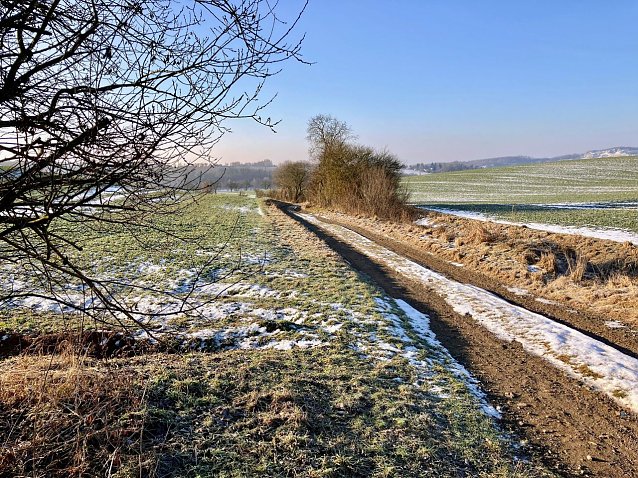 Bild: Eine frostige Landschaft.
