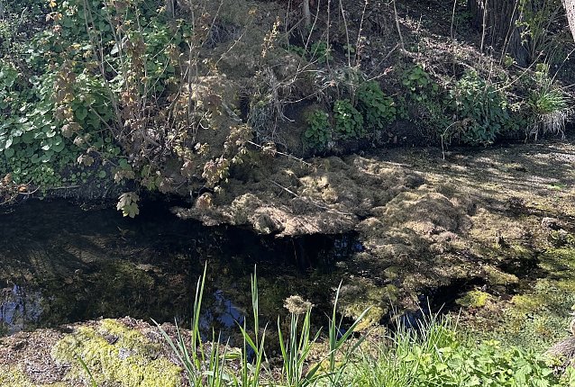 Bild: Verschmutzter Fluss