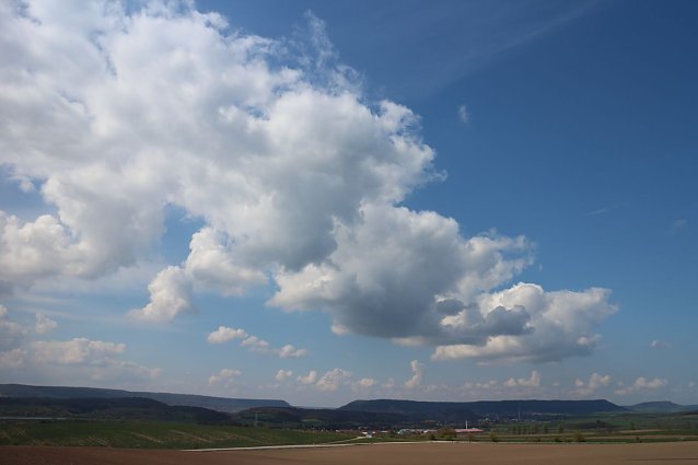 Bild: 