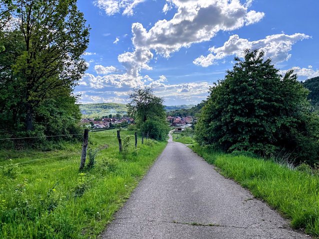 Bild: 