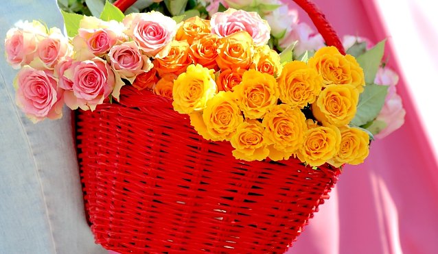 Bild: Roter Korb mit Rosen (rosa, gelb orange)