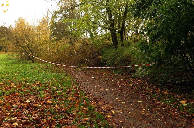 Bild: Sturmsch&auml;den in Nordhausen