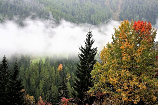 Bild: Wetterbild