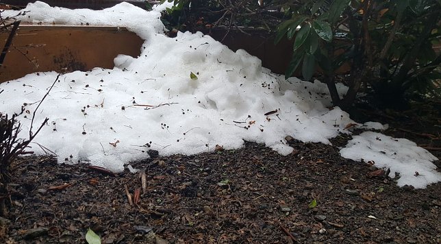 Bild: Wetterbild