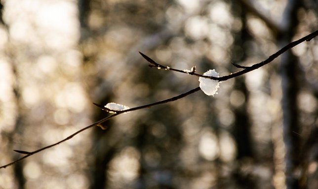 Bild: Wetterbild