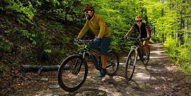 Bild: Sport im Wald