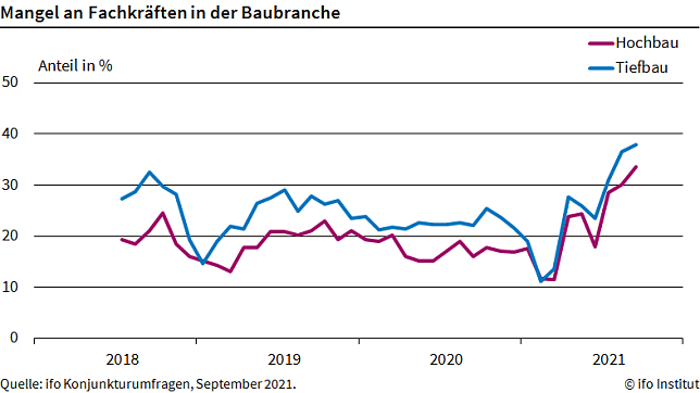 Bild: Grafik
