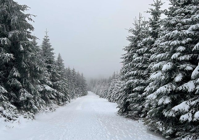 Bild: Weihnachten 2025 - auf dem Weg zum Brocken