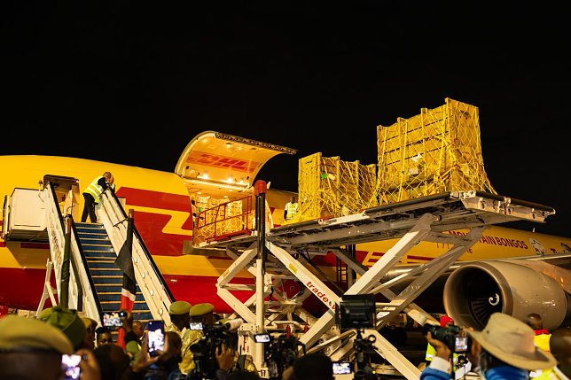Bild: DHL transportiert 17 Bergbongo-Antilopen von Florida nach Kenia