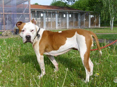 Kessy (Foto: C. Knust)