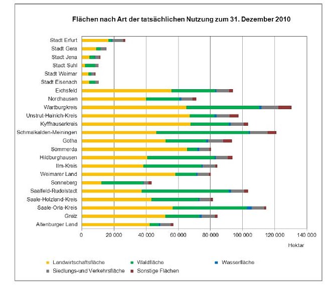 Grafik (Foto: TLS)